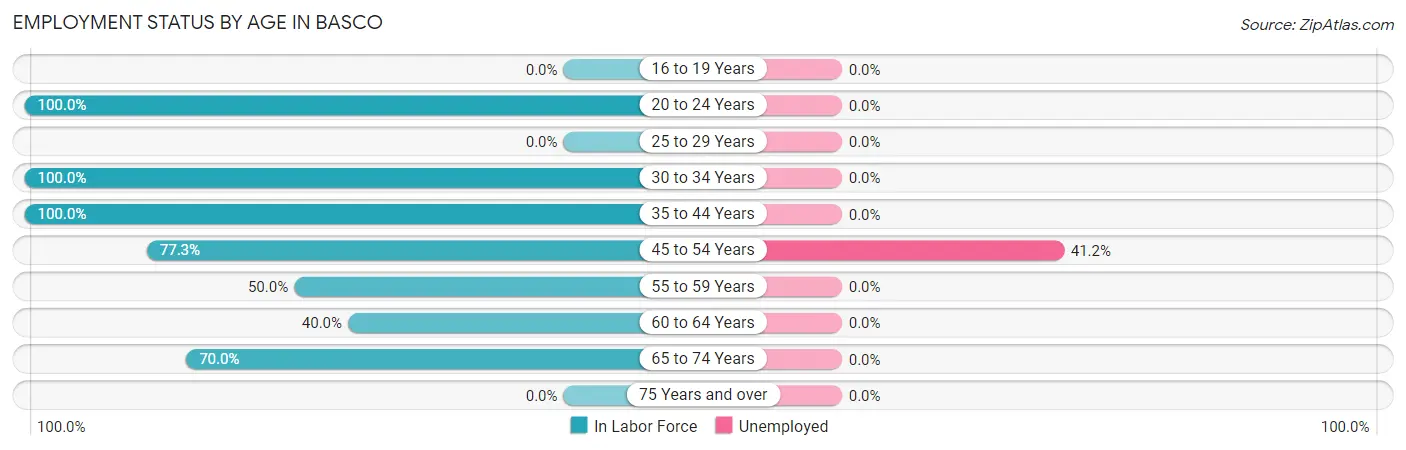 Employment Status by Age in Basco