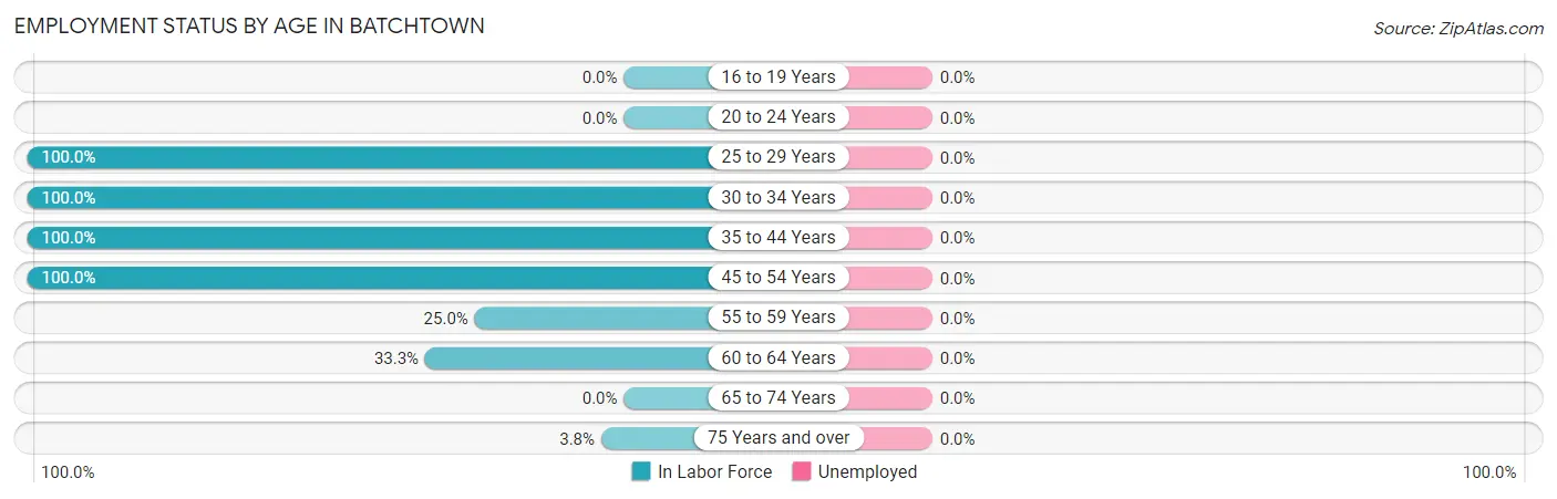 Employment Status by Age in Batchtown