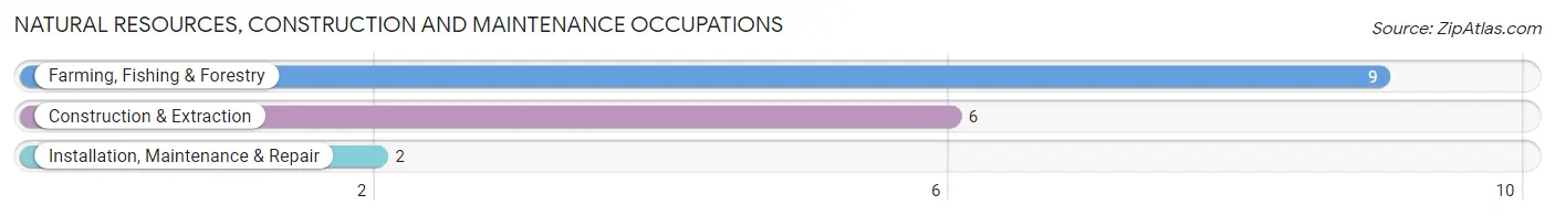 Natural Resources, Construction and Maintenance Occupations in Bath