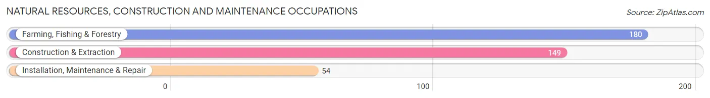 Natural Resources, Construction and Maintenance Occupations in Beardstown