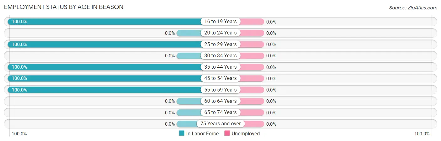 Employment Status by Age in Beason