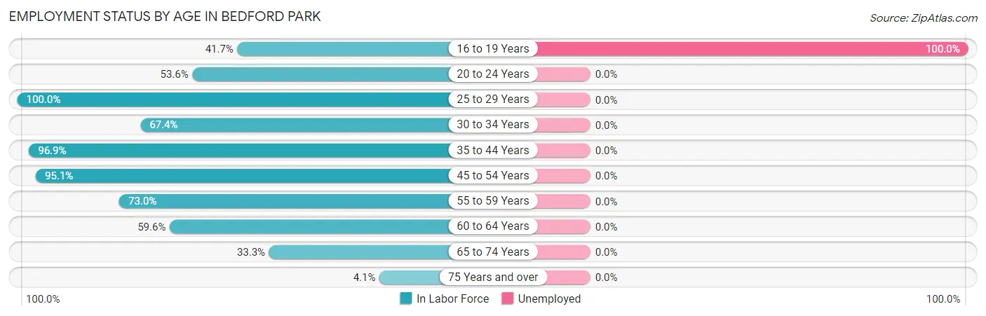 Employment Status by Age in Bedford Park