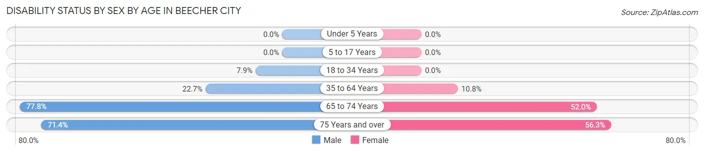 Disability Status by Sex by Age in Beecher City