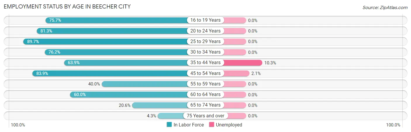 Employment Status by Age in Beecher City