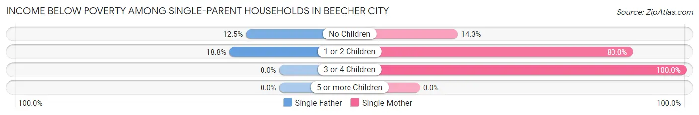 Income Below Poverty Among Single-Parent Households in Beecher City