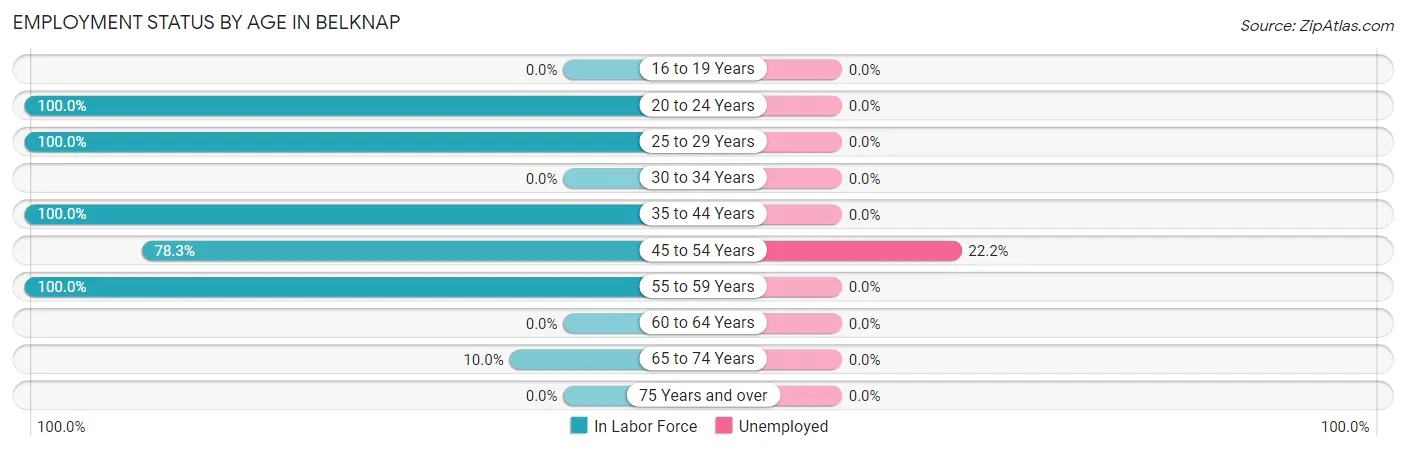 Employment Status by Age in Belknap