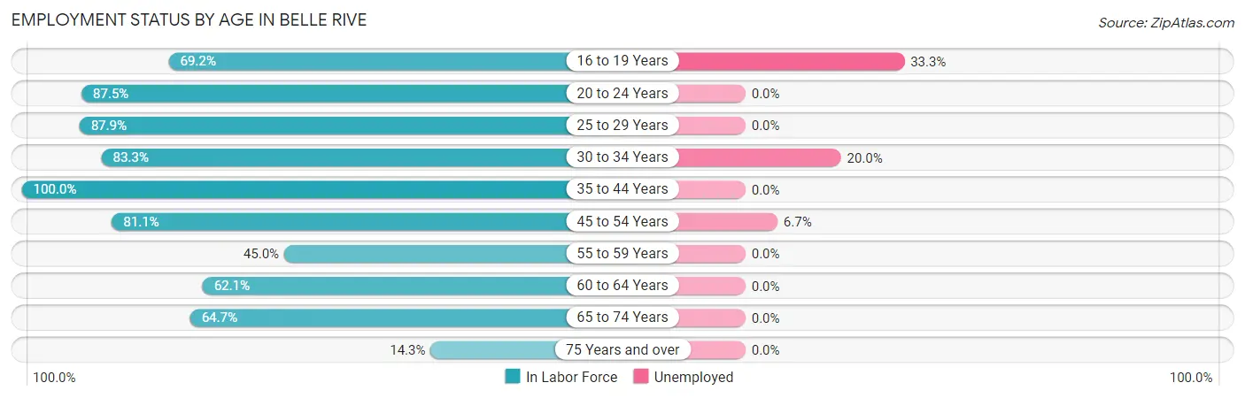 Employment Status by Age in Belle Rive