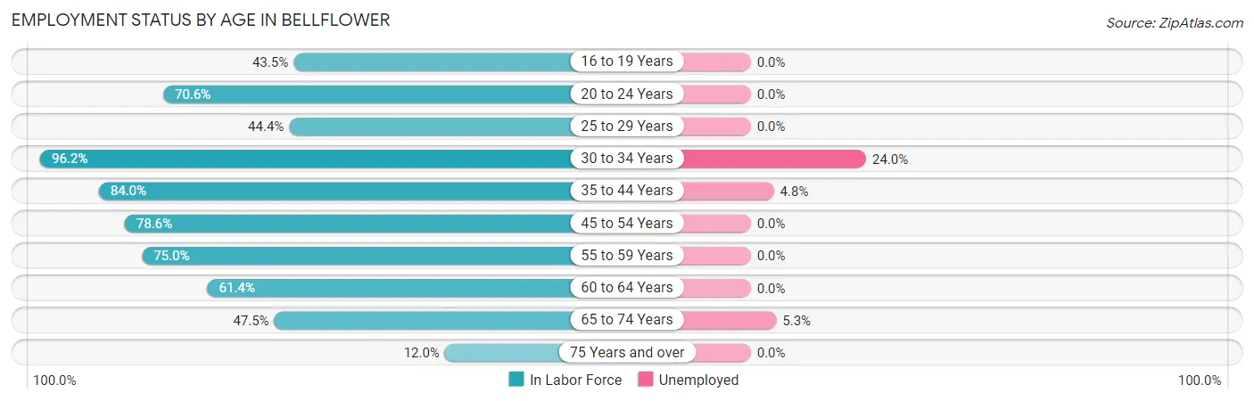 Employment Status by Age in Bellflower