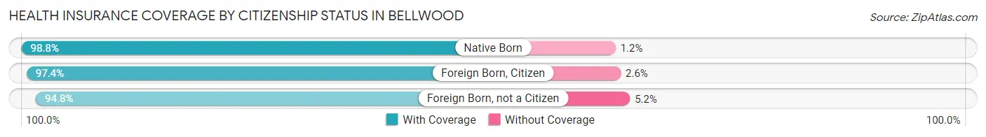 Health Insurance Coverage by Citizenship Status in Bellwood