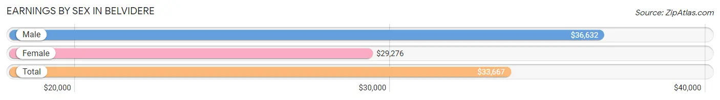 Earnings by Sex in Belvidere