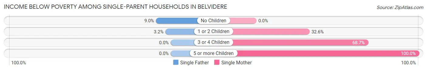 Income Below Poverty Among Single-Parent Households in Belvidere