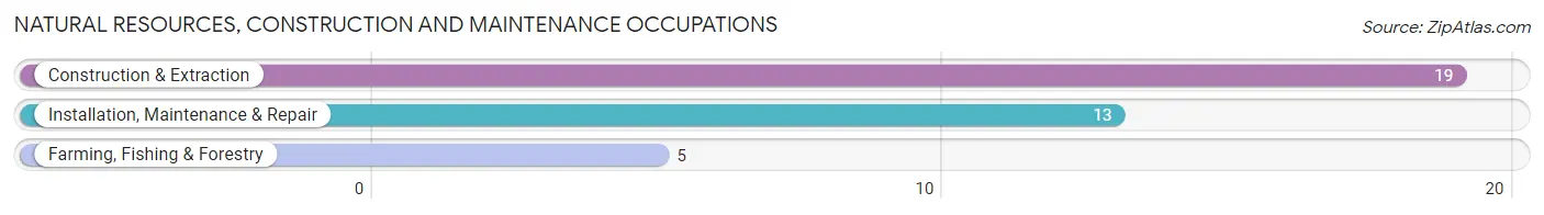 Natural Resources, Construction and Maintenance Occupations in Benson