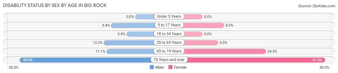 Disability Status by Sex by Age in Big Rock