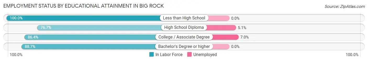 Employment Status by Educational Attainment in Big Rock
