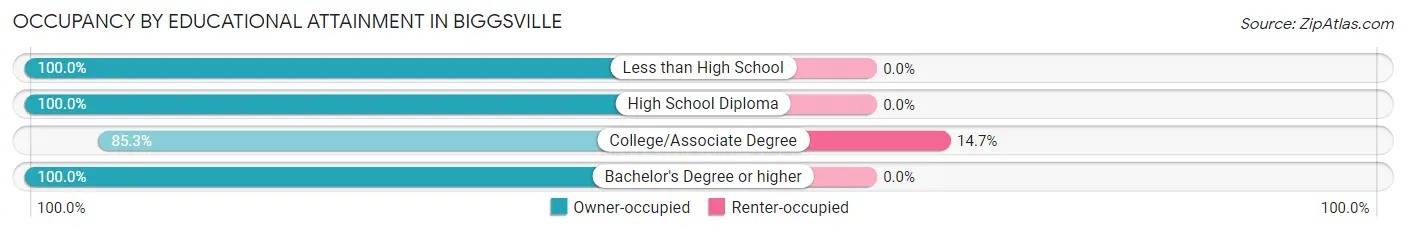 Occupancy by Educational Attainment in Biggsville