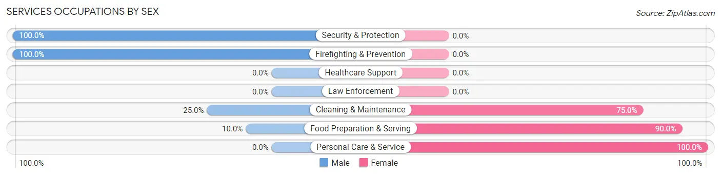 Services Occupations by Sex in Biggsville