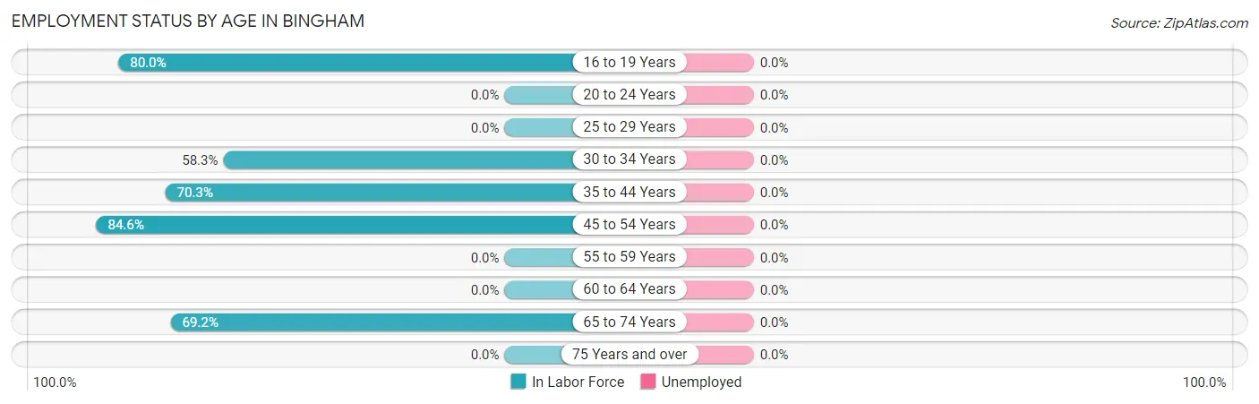 Employment Status by Age in Bingham