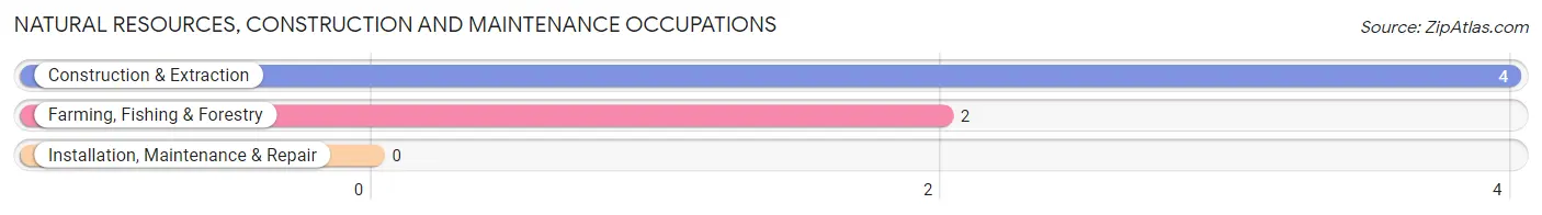 Natural Resources, Construction and Maintenance Occupations in Bishop Hill