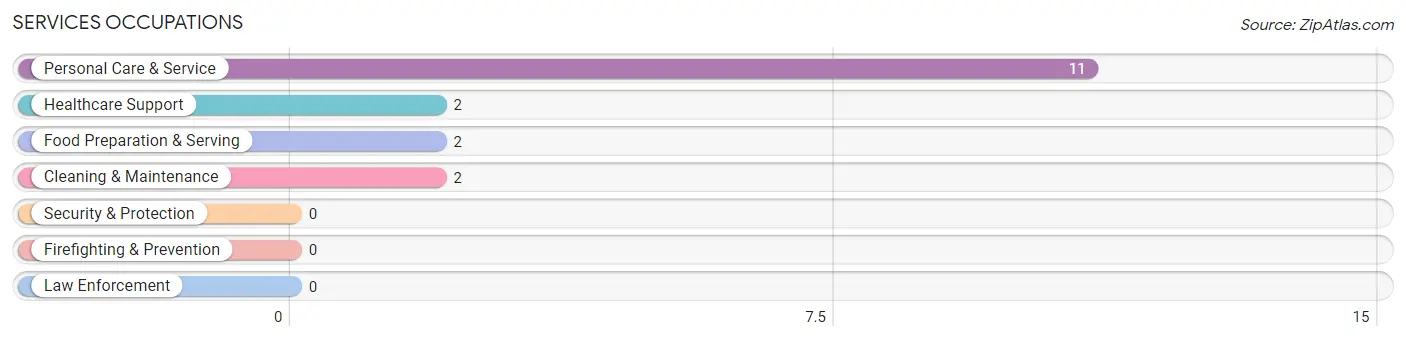 Services Occupations in Bishop Hill