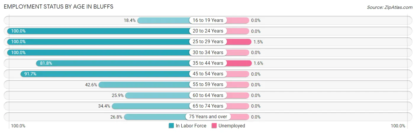 Employment Status by Age in Bluffs
