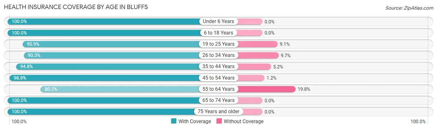 Health Insurance Coverage by Age in Bluffs