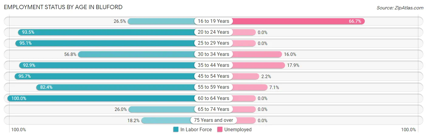 Employment Status by Age in Bluford