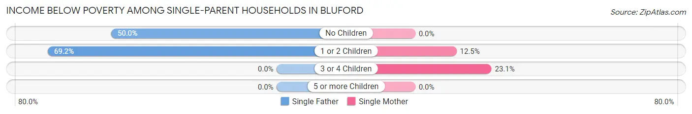 Income Below Poverty Among Single-Parent Households in Bluford