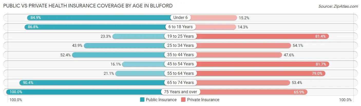 Public vs Private Health Insurance Coverage by Age in Bluford