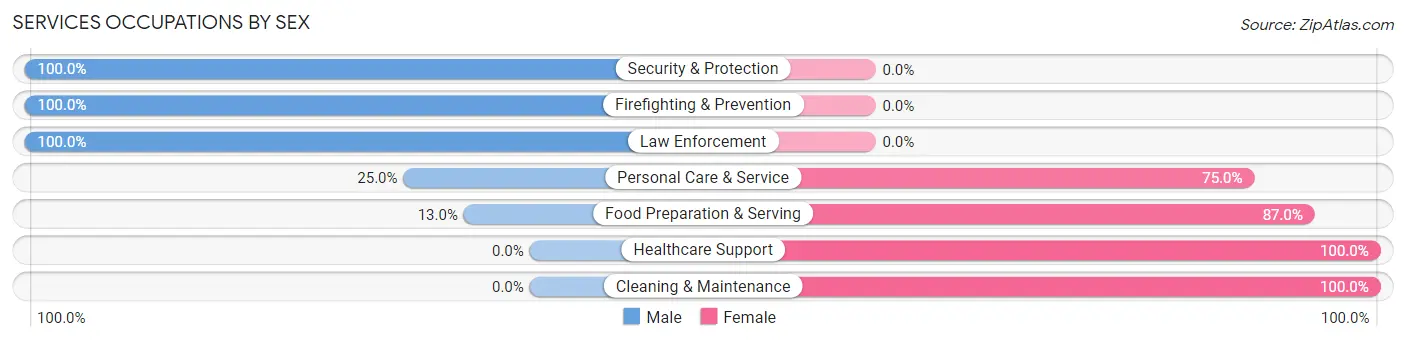 Services Occupations by Sex in Bluford