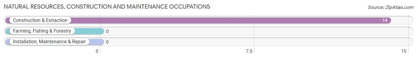 Natural Resources, Construction and Maintenance Occupations in Bondville