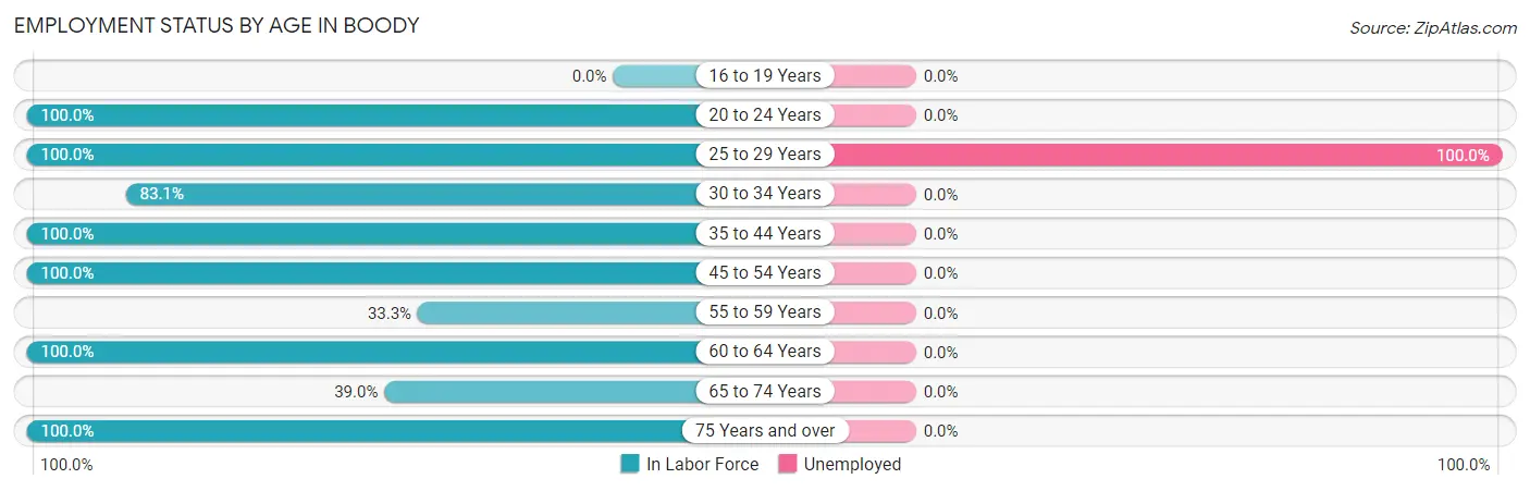 Employment Status by Age in Boody