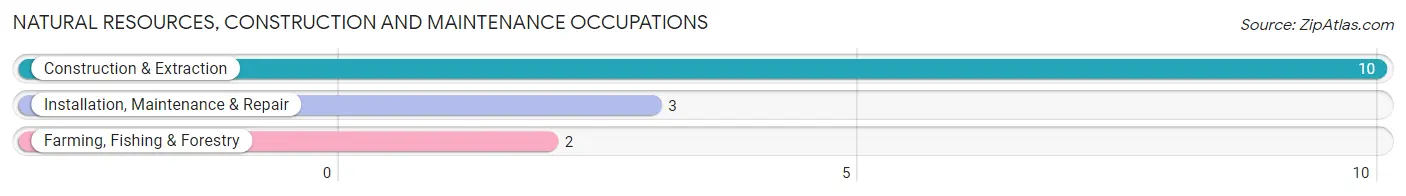 Natural Resources, Construction and Maintenance Occupations in Bowen