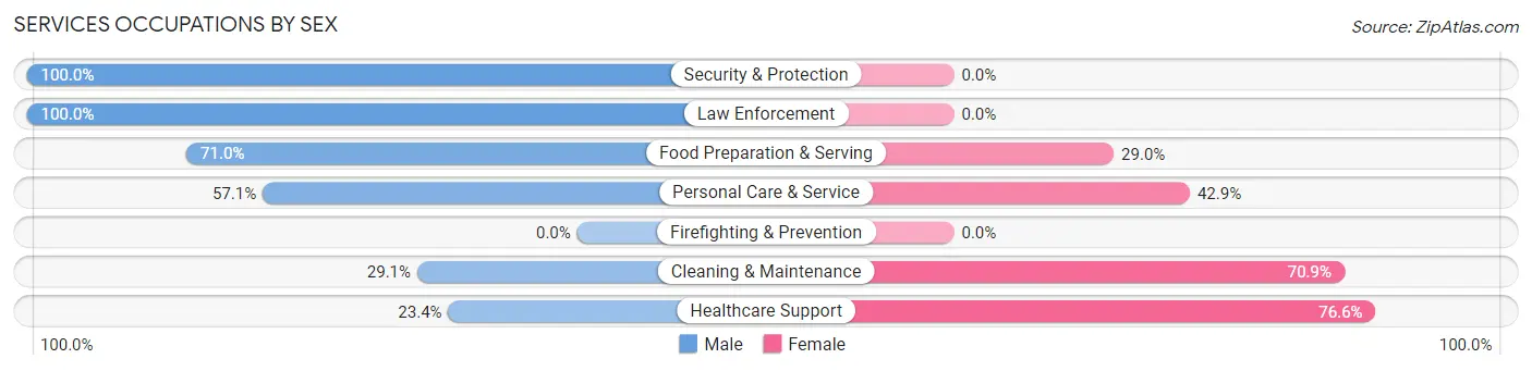 Services Occupations by Sex in Breese