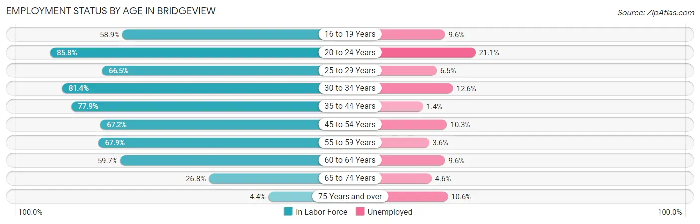 Employment Status by Age in Bridgeview