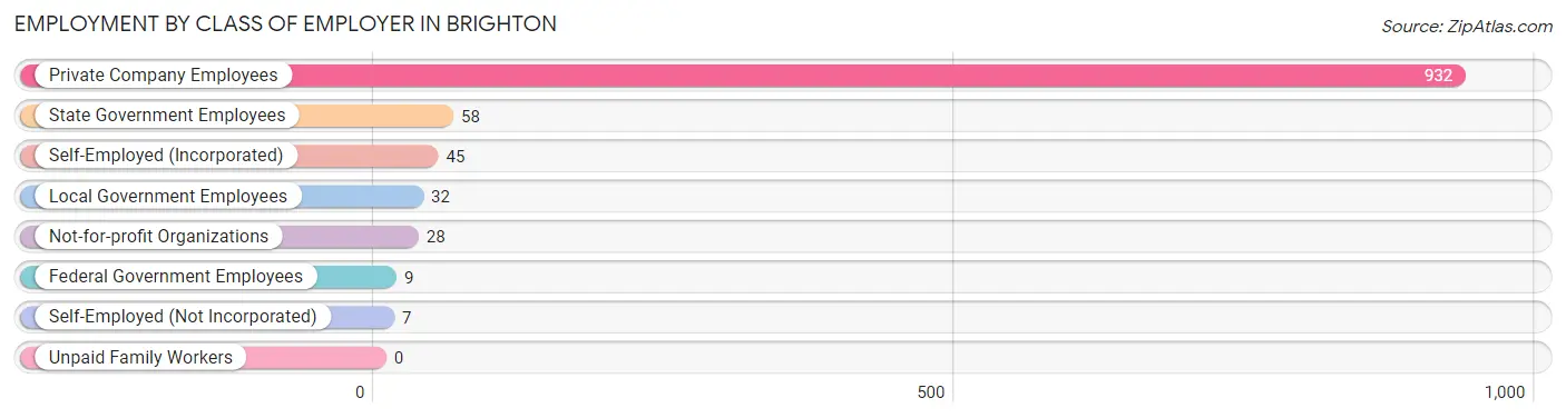 Employment by Class of Employer in Brighton