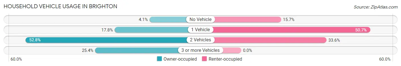 Household Vehicle Usage in Brighton