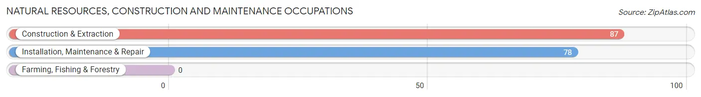 Natural Resources, Construction and Maintenance Occupations in Brighton