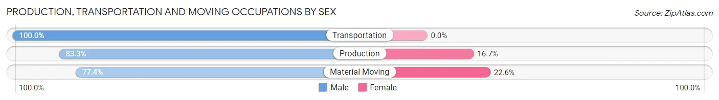 Production, Transportation and Moving Occupations by Sex in Brighton