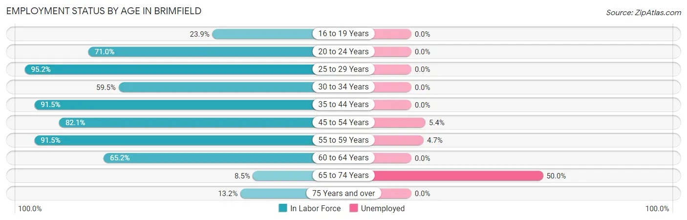 Employment Status by Age in Brimfield