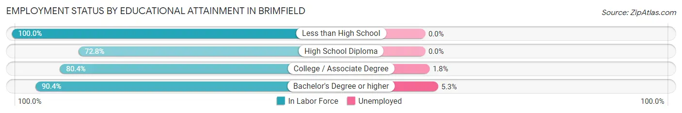 Employment Status by Educational Attainment in Brimfield