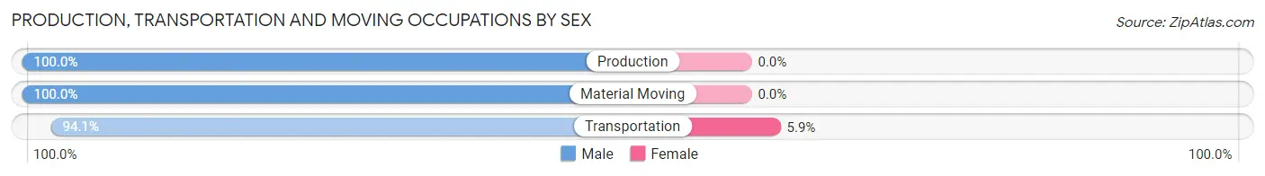 Production, Transportation and Moving Occupations by Sex in Brimfield