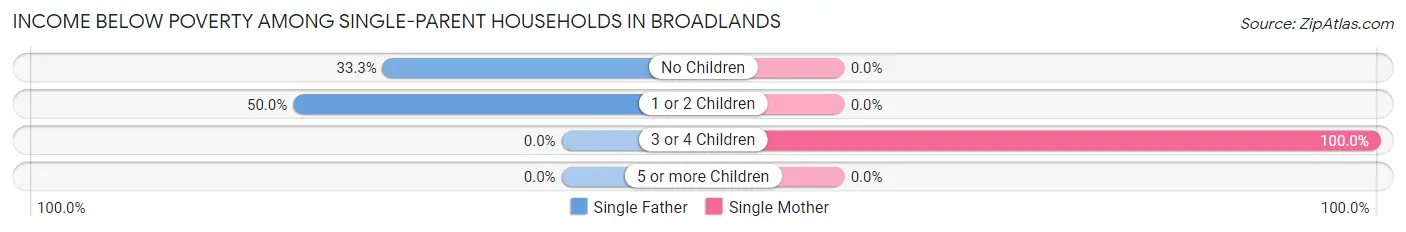 Income Below Poverty Among Single-Parent Households in Broadlands