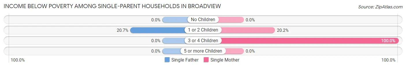 Income Below Poverty Among Single-Parent Households in Broadview