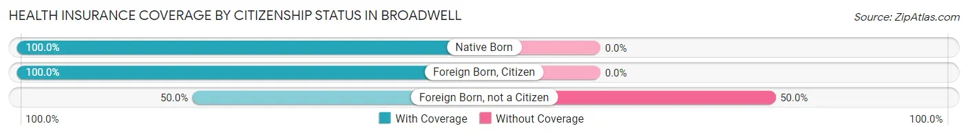 Health Insurance Coverage by Citizenship Status in Broadwell