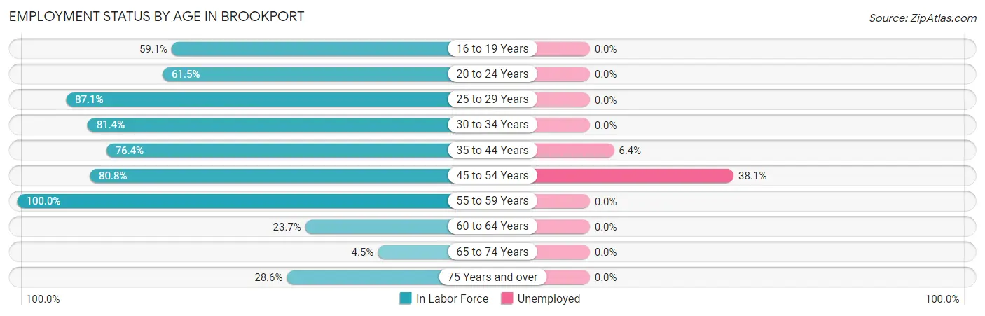 Employment Status by Age in Brookport