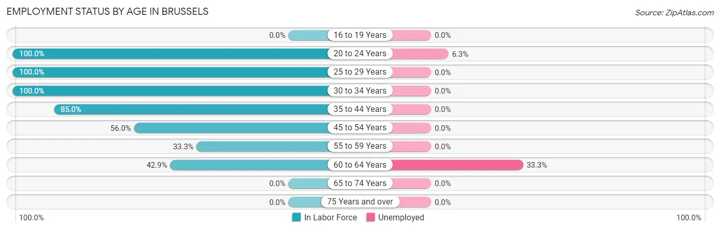 Employment Status by Age in Brussels