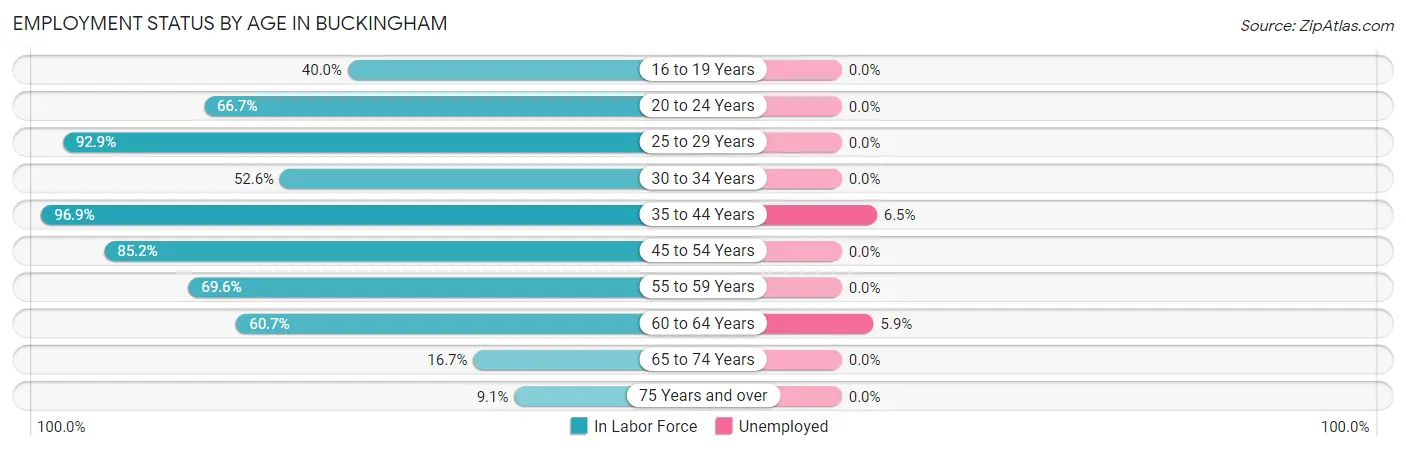 Employment Status by Age in Buckingham