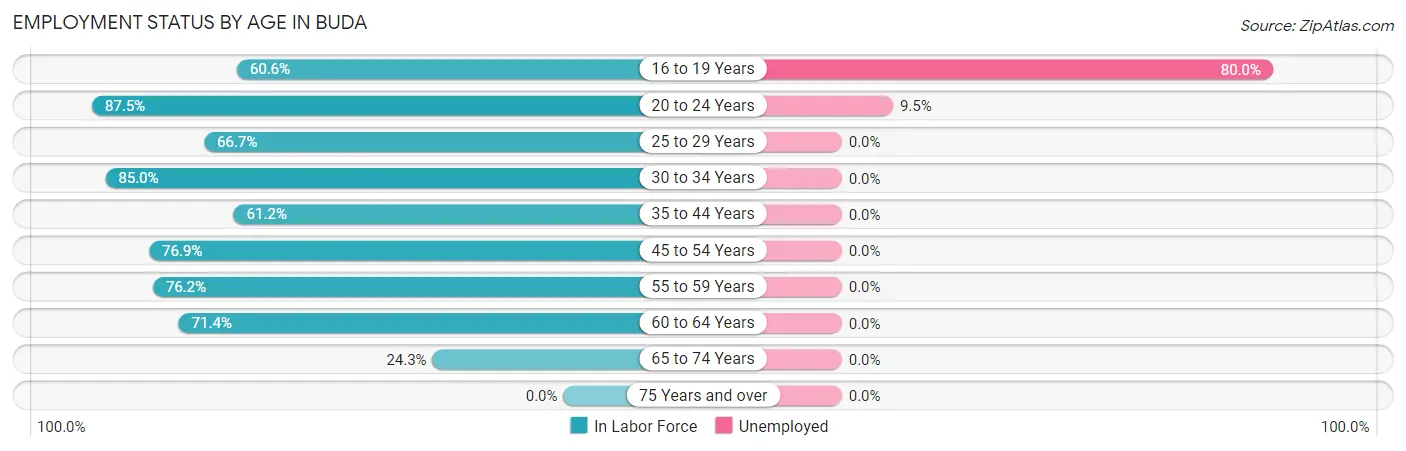 Employment Status by Age in Buda