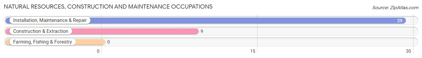 Natural Resources, Construction and Maintenance Occupations in Buncombe