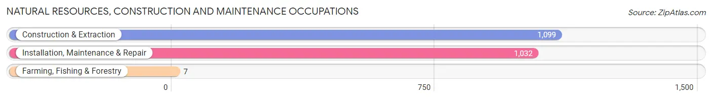 Natural Resources, Construction and Maintenance Occupations in Burbank